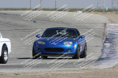 media/Oct-21-2023-Speed Ventures (Sat) [[ddf75163c5]]/Yellow/Grapevine/